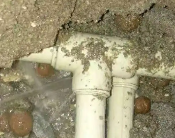 泸水测漏水多少钱