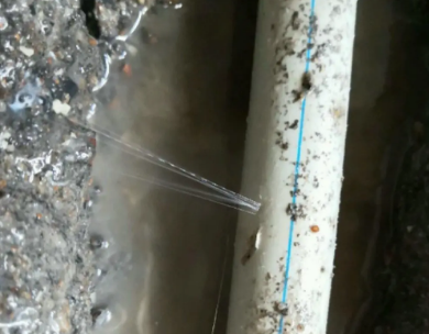 泸水测漏水哪家好