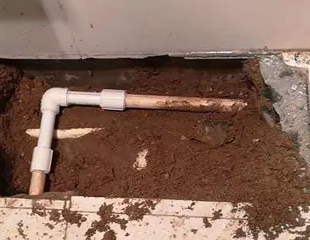 泸水测漏水哪家好