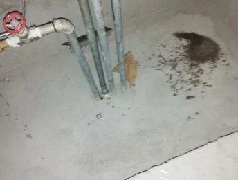 泸水卫生间测漏水价格明细