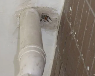 泸水漏水检测哪家好